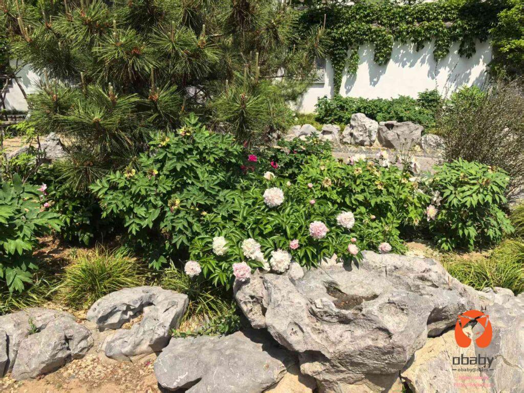 微信图片_202505051052285